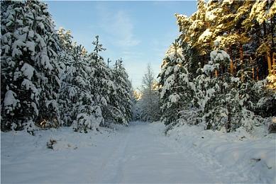 索尼可能在组建新的工作室 吸纳前Deviation Games主创