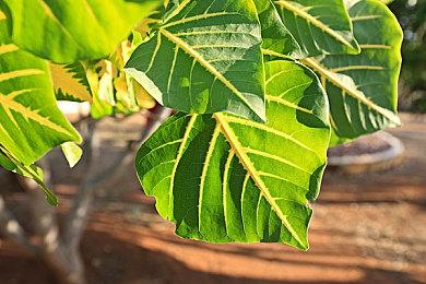 动作休闲《塔楼公主》9月8日发售 登陆PC和主机